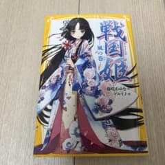 戦国姫 風の巻のサムネイル