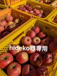 hideko様専用 葉取らずりんご約10キロのサムネイル