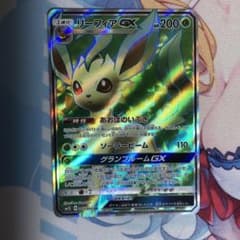 ダイソン様専用リーフィアGX とプロモのサムネイル