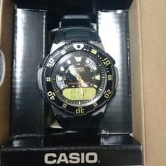 CASIO CEPTOR です。のサムネイル