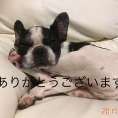 SU☆さま専用のサムネイル