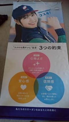 桜井日奈子　のれん　くまきりん様用のサムネイル