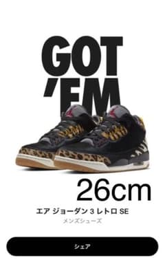 NIKE AIR JORDAN 3 アニマル 26cmのサムネイル