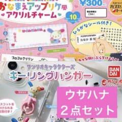 【新品未開封】ウサハナ　キーリングハンガー　おなまえアップリケ風アクリルチャームのサムネイル