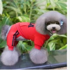 犬 服のサムネイル
