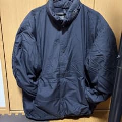 THE NORTH FACE ダウンジャケット ブラック Lのサムネイル