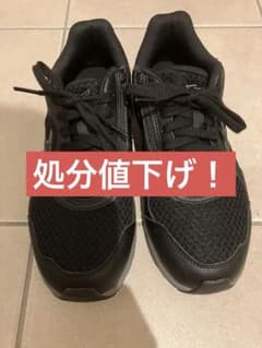 値下げ❗️MizunoウエーブフリーライドSW(ウォーキング)[ユニセックス]のサムネイル
