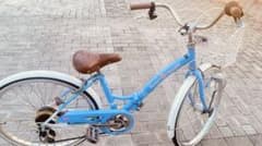 折りたたみ24式自転車のサムネイル
