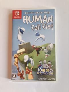 Y*a様 【動作確認済】Switch ヒューマン フォール フラット ケース付きのサムネイル