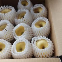 強風で落下、はるか 加工用のサムネイル