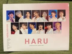 SEVENTEEN HARU DVDのサムネイル