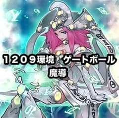 遊戯王 魔導 ゲートボール 1209環境 本格構築 デッキ - メルカリ