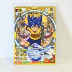 이나즈마 일레븐 GO TCG 카드 페이 룬