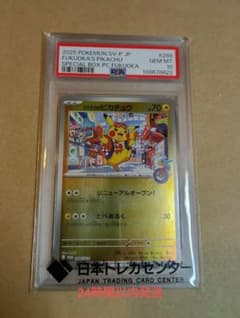 2025年 フクオカのピカチュウ #289のサムネイル