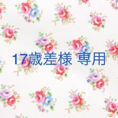17歳差様 専用ページ☆のサムネイル