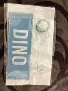 SEVENTEEN DINO ワッペン ピンバッジ Ode to Youのサムネイル