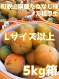 新鮮！和歌山県産たねなし柿（刀根早生）Lサイズ以上混合　5kg箱のサムネイル