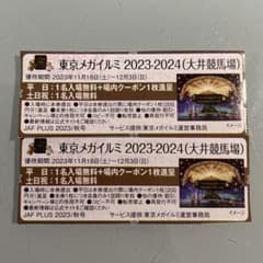 東京メガイルミ2023-2024(大井競馬場)入場無料券のサムネイル