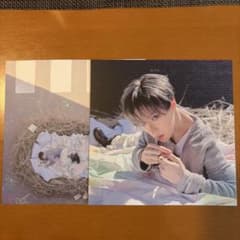 ALD1 アルノ　Nest ver. 封入 ポストカードのサムネイル