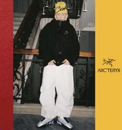 最高峰極上新品Arc