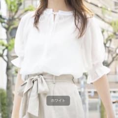 Heather シフォンヨウリュウハイネックブラウス　2way シアーブラウスのサムネイル