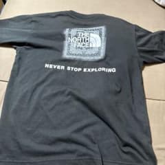 THE NORTH FACE ペイズリー柄 ロゴ Tシャツのサムネイル
