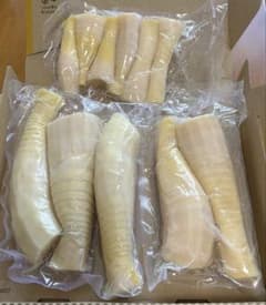 京都山城産　朝掘り筍のサムネイル