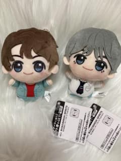 BTS TinyTAN DNA 치비구루미 테테종국