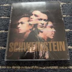 SCHWEIN/SCHWEINSTEINのサムネイル
