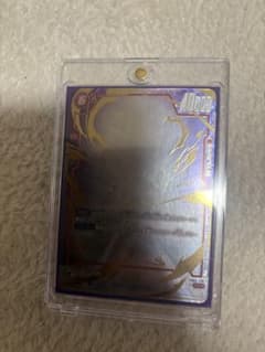 R*N様 孫悟空　scr パラレルのサムネイル