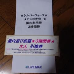 リブマックス函館大沼　 園内遊び放題3時間券 大人引換券 - 2