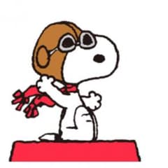 みー様専用のサムネイル