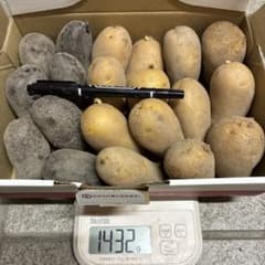 じゃがいも　2種　種芋　サイズ　自然栽培　(11)1432 gのサムネイル