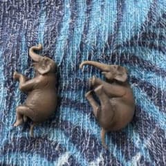 ゾウ 象 PUTTITO フチ子のサムネイル