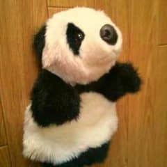 オーストラリアにて購入♡パンダぬいぐるみのサムネイル