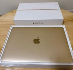 Apple MacBook 256GB MK4M2J/A early2015のサムネイル