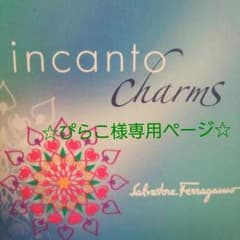 ぴらこ様専用　インカントチャームのサムネイル