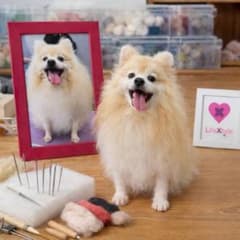 羊毛フェルト ポメラニアン オーダーメイド 写真から制作のサムネイル