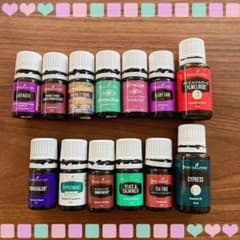 Younｇ Living アロマオイル　いろいろ　お試しにのサムネイル
