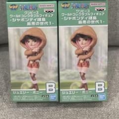 [Unopened item, anonymous shipping]Jewelry Bonney2-piece set