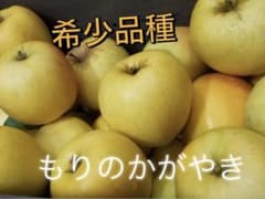 希少品種　もりのかがやき　3kgのサムネイル