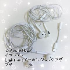 Apple純正　Lightningイヤフォンとアダプタのサムネイル