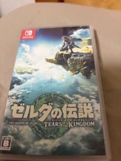 젤다의 전설 TEARS OF THE KINGDOM 티아킨