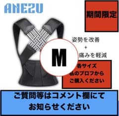 【これで姿勢スッキリ】アネズ 姿勢デバイス 猫背矯正ベルトのサムネイル