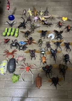 日*9様 いきもの大図鑑フィギュア 48点大量セット 昆虫 甲殻類 爬虫類色々のサムネイル