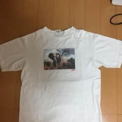 supreme tのサムネイル