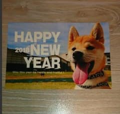 年賀状 10枚のサムネイル