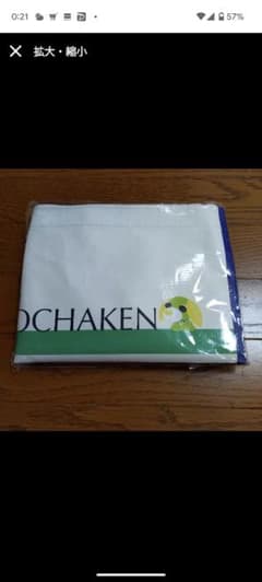 【kanon様専用】お〜いお茶　お茶犬オリジナル保冷抗菌ドデカバッグのサムネイル