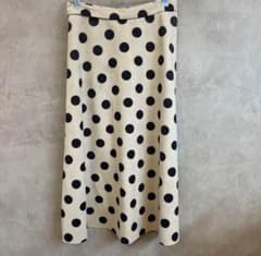 ドットスカート　zara  snidel  iena  nugu  韓国風のサムネイル