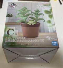 一番くじ　爬虫類&両生類　〜Tiny Friends〜　vol3のサムネイル